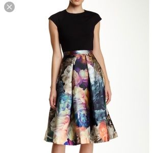 Ted Baker EANA technicolor bloom skirt dress